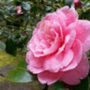 Meet your Posher, Becca